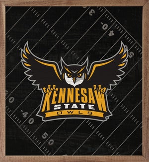 Black Football Field Kennesaw State University